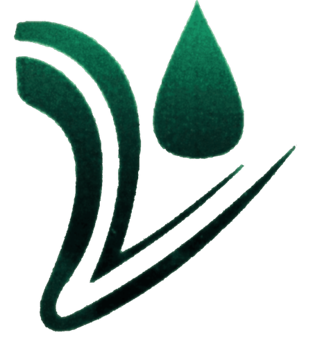 REIONEX RASAINS logo